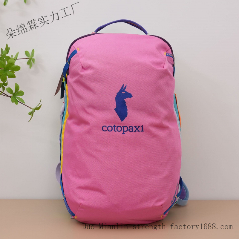 방수 컬러 블록 백팩 남녀공용 대용량 여행 가방 야외  - Travel Accessories For Men 리뷰 및 가격