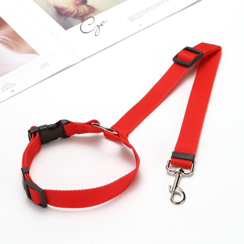 조절 가능한 애완동물 카시트 벨트 강아지 고양이 헤드레 - Travel Accessories Dog 리뷰 및 가격