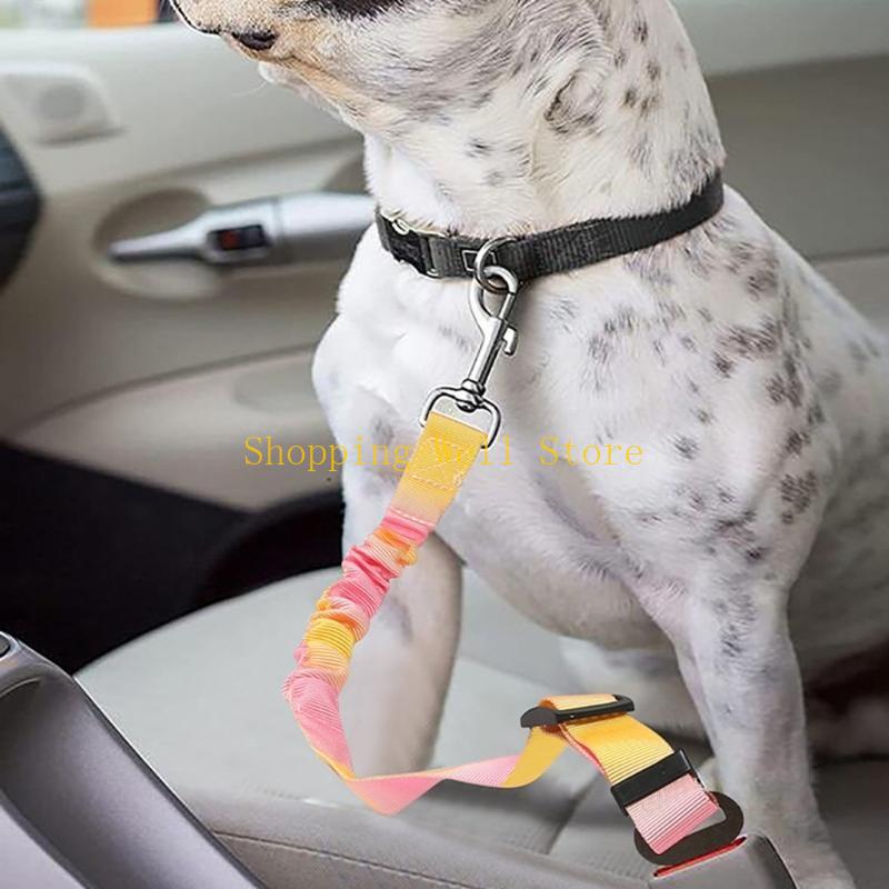 KX4B 3pcs 개폐식 구속 장치는 벨트 선도 강아지 - Travel Accessories Dog 리뷰 및 가격