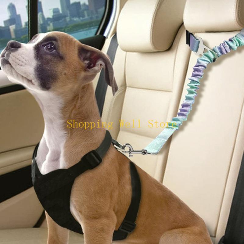 KX4B 3pcs 개폐식 구속 장치는 벨트 선도 강아지 - Travel Accessories Dog 리뷰 및 가격